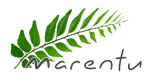 cropped-logo.png